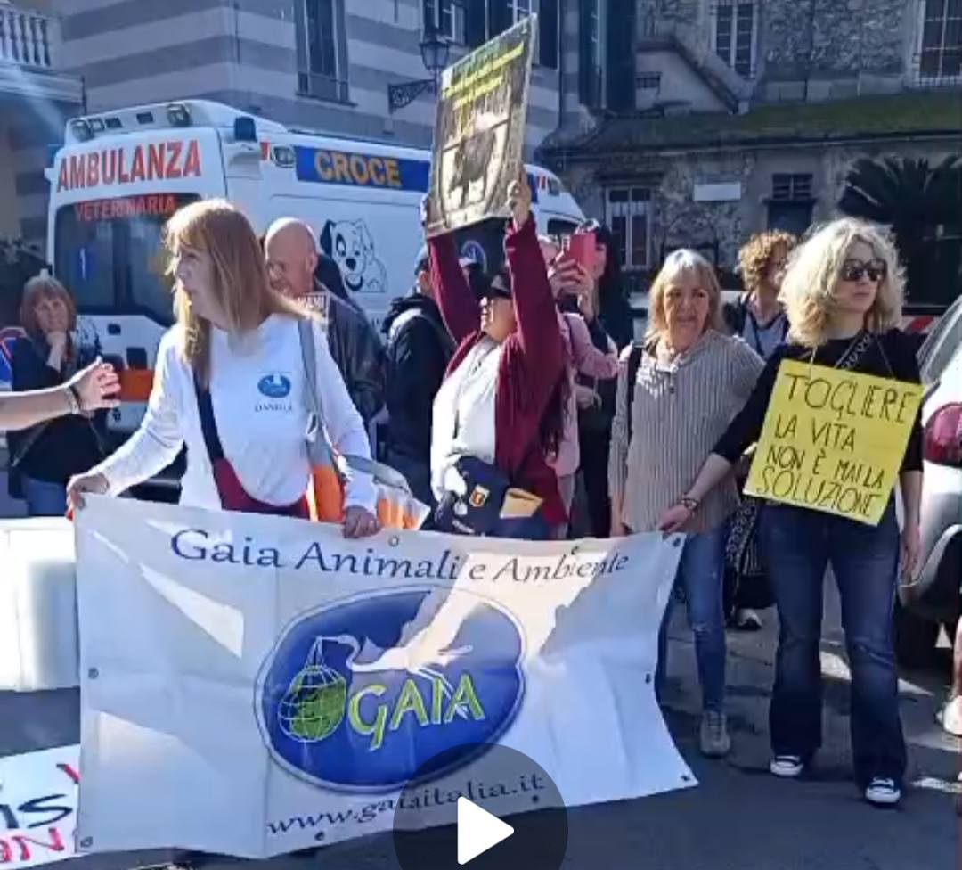 manifestazione cinghiali a rapallo 674576396_1255326123441027_6769630038564260184_n - copia